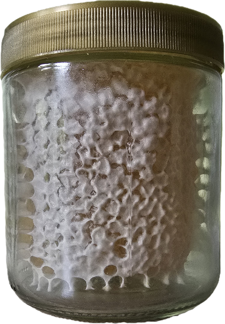 Wabenhonig im Glas